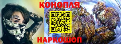прущие крисы Кандалакша
