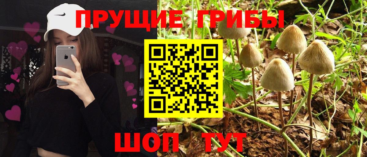 Галлюциногенные грибы Cubensis Биробиджан